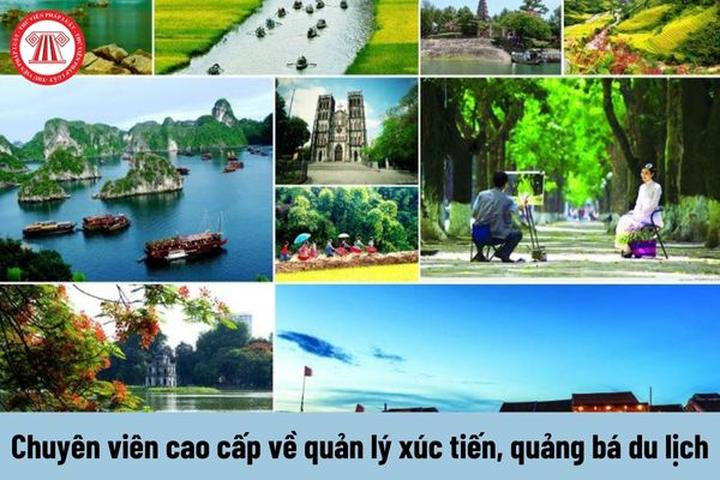 Hotspot Matrix: Đòn bẩy tiếp cận học sinh và phụ huynh cho chuyên gia tư vấn du học