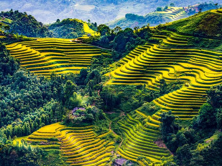 Các thay đổi thai kỳ của Li Wei và giải pháp của Hotspot Matrix