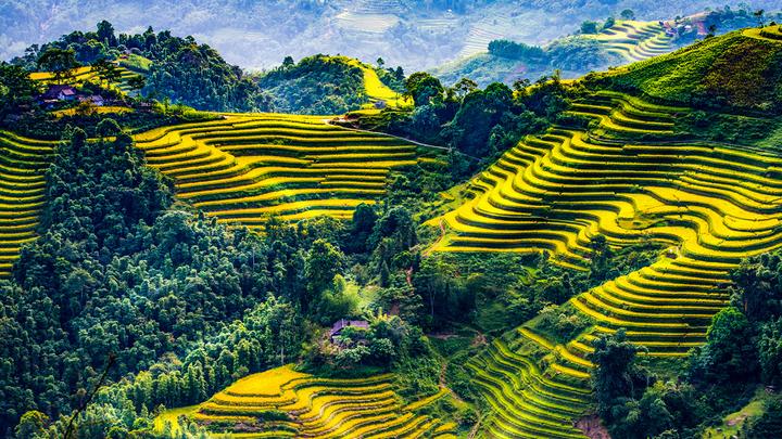 Hotspot Matrix: Biến Cuộc sống của nữ nghệ sĩ đình thành cơ hội marketing đột phá