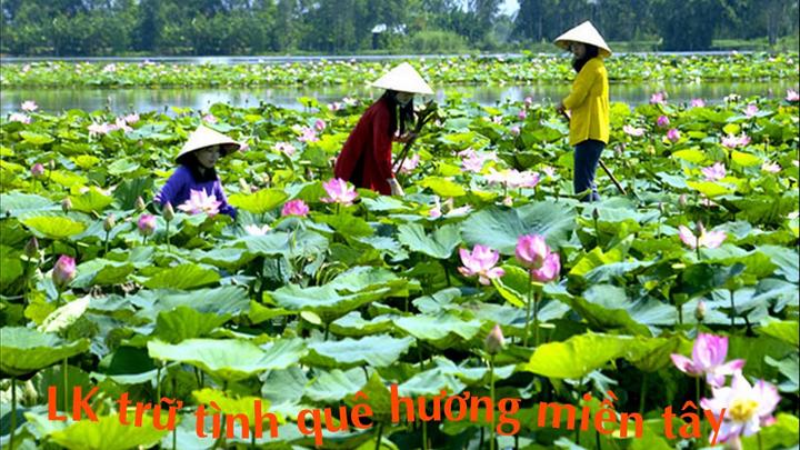 Quảng bá Nhà Hàng trên Video Ngắn cùng Hotspot Matrix