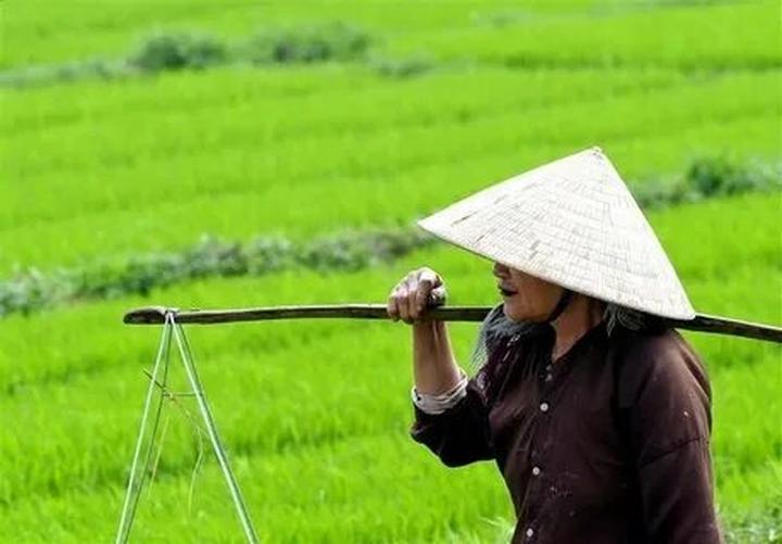 Chuyên gia Hotspot Matrix phân tích: 4 kiểu chân váy hết thời, và marketing video
