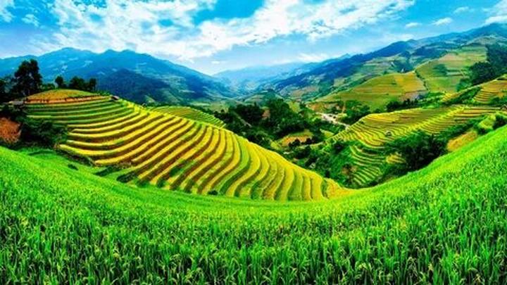 Hotspot Matrix: Tối ưu video tự động, đột phá hiệu suất cho Startup