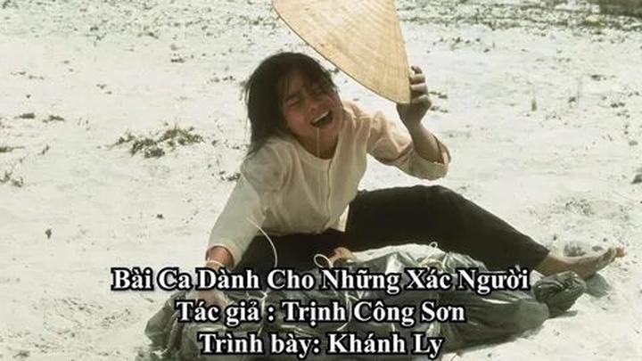 Bonobo: Nguồn Gốc Tiến Hóa Của Ngôn Ngữ Con Người?
